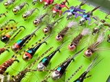Lively Legz Barbless/ Tungsten Slim Nymph Box (74 Barbless Flies)