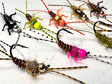 Double Trouble Nymph 2x Strong Barbed / Tungsten