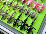 Lively Legz Barbless/ Tungsten Slim Nymph Box (74 Barbless Flies)