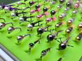 Lively Legz Barbless/ Tungsten Slim Euro Nymph Box (74 Barbless Euro Jig Flies)