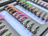Lively Legz Barbless/Tungsten Slim Euro Nymph Box (50 Barbless Euro Jig Flies)
