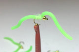 Squirmy Worms