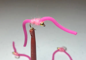 Squirmy Worms