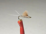 Rs2 Emergers