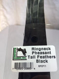 Ringneck Pheasant Tail Feathers (2 Pack)