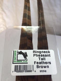 Ringneck Pheasant Tail Feathers (2 Pack)