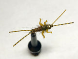 Double Trouble Nymph Barbless/ Tungsten