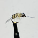 Scuds Barbless/ Tungsten