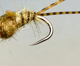 Double Trouble Nymph Barbless/ Tungsten
