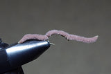 San Juan Worms