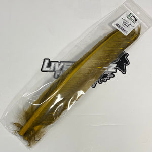 Turkey Biot Quills