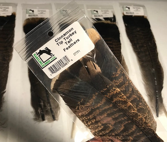 Cinnamon Tip Turkey Tail Feathers (2 Pack)