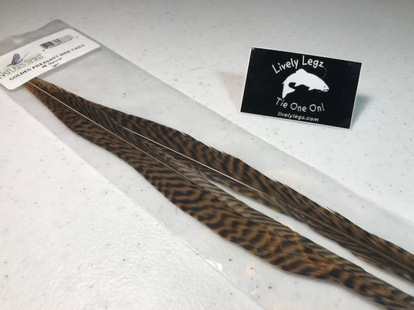 GOLDEN PHEASANT SIDE TAILS
