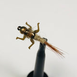 Original Nymph Barbless/ Tungsten