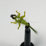 Original Nymph Barbless/ Tungsten