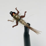 Original Nymph Barbless/ Tungsten