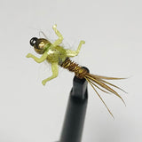 Original Nymph Barbless/ Tungsten