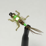 Double Hot Spot "DHS" Pheasant Tail Barbless/ Tungsten