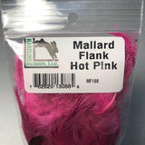 Mallard Flank