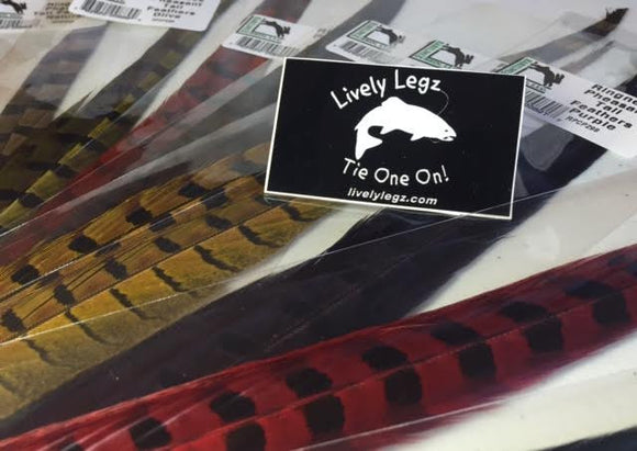Ringneck Pheasant Tail Feathers (2 Pack)