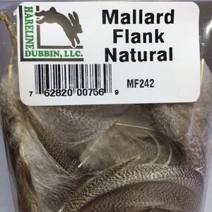 Mallard Flank