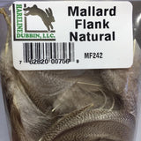 Mallard Flank