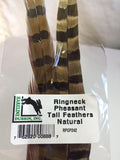 Ringneck Pheasant Tail Feathers (2 Pack)