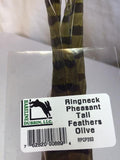 Ringneck Pheasant Tail Feathers (2 Pack)