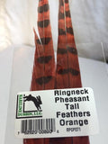 Ringneck Pheasant Tail Feathers (2 Pack)