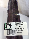 Ringneck Pheasant Tail Feathers (2 Pack)