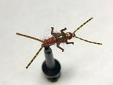 Double Trouble Nymph Barbless/ Tungsten