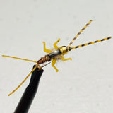 Double Trouble Nymph Barbless/ Tungsten