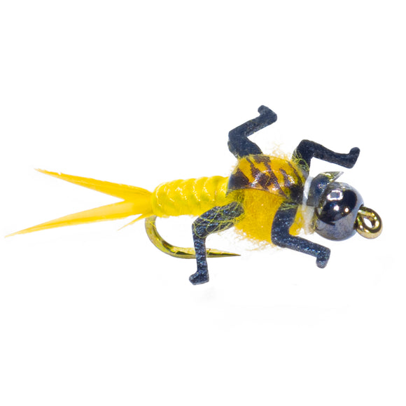 The Warrior (Benefit Fly)