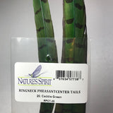 Ringneck Pheasant Tail Feathers (2 PACK)