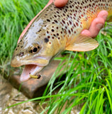 Bubb Rubb Grub Barbless/ Tungsten